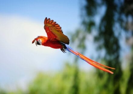 Galería de imágenes en miniatura