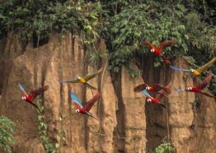 Galería de imágenes en miniatura