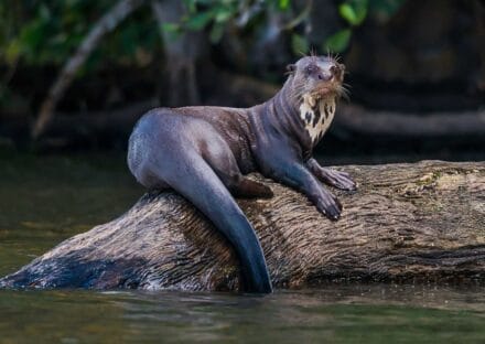 Galería de imágenes en miniatura