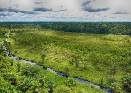 Galería de imágenes en miniatura