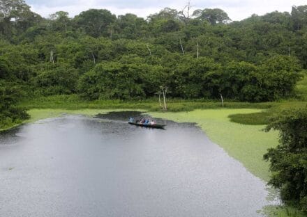 Galería de imágenes en miniatura