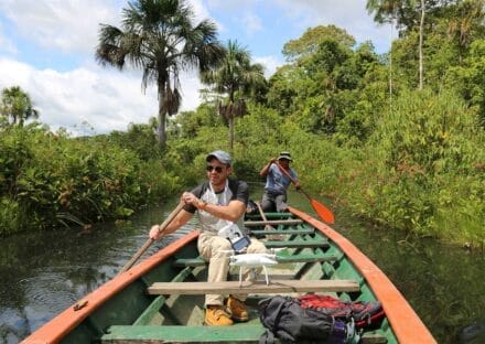 Galería de imágenes en miniatura