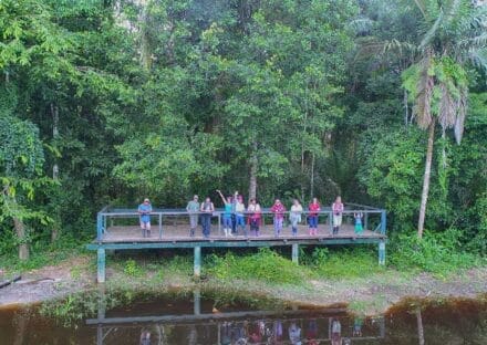 Galería de imágenes en miniatura