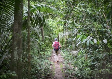 Galería de imágenes en miniatura