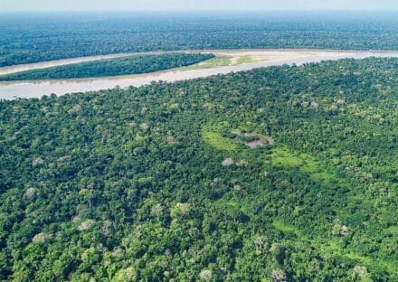 Galería de imágenes en miniatura