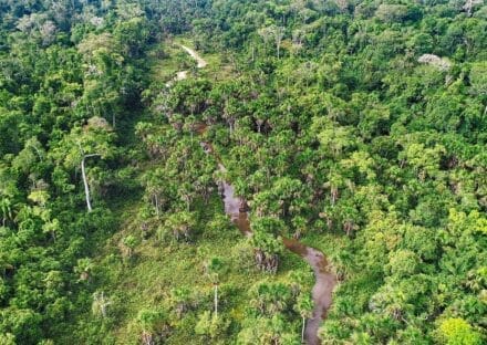 Galería de imágenes en miniatura