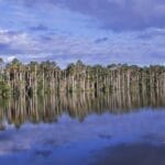 tambopata