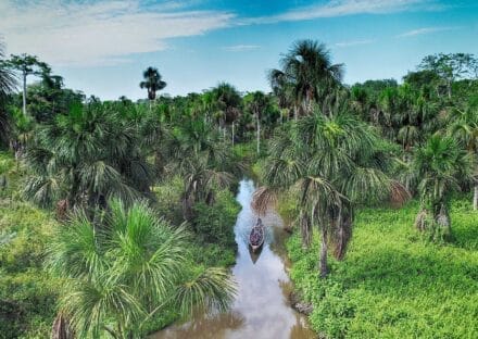 Galería de imágenes en miniatura