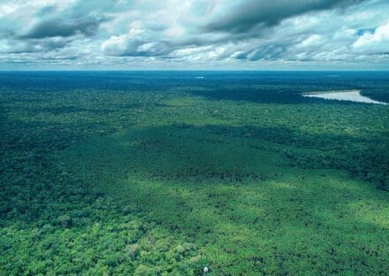 Galería de imágenes en miniatura