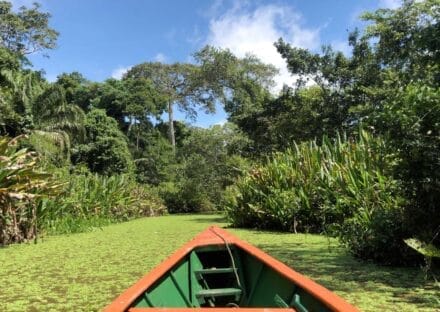 Galería de imágenes en miniatura