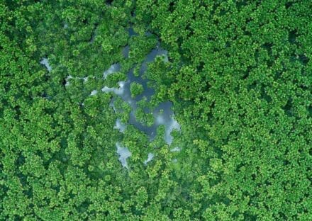 Galería de imágenes en miniatura