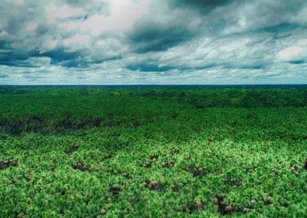 Galería de imágenes en miniatura
