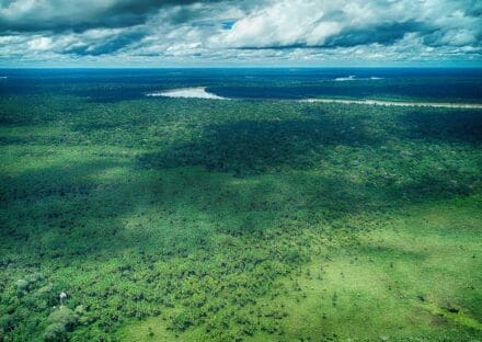 Galería de imágenes en miniatura