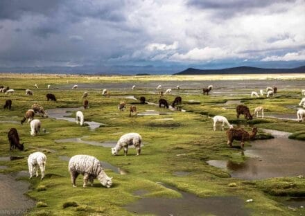 Galería de imágenes en miniatura