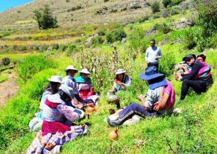 Galería de imágenes en miniatura