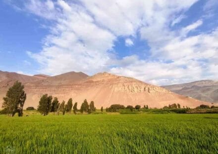 Galería de imágenes en miniatura