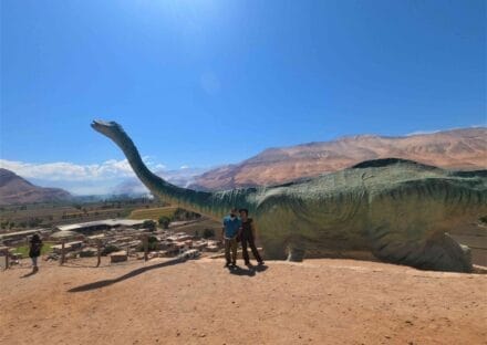 Galería de imágenes en miniatura