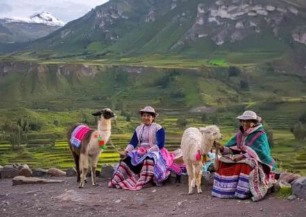 Galería de imágenes en miniatura