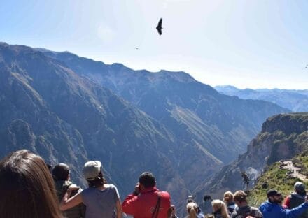 Galería de imágenes en miniatura