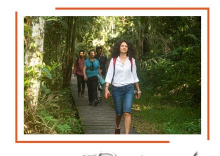 Galería de imágenes en miniatura