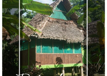 Galería de imágenes en miniatura