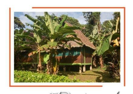 Galería de imágenes en miniatura