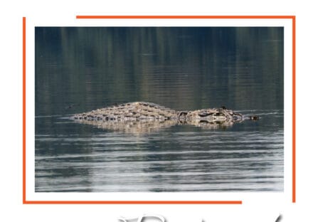 Galería de imágenes en miniatura