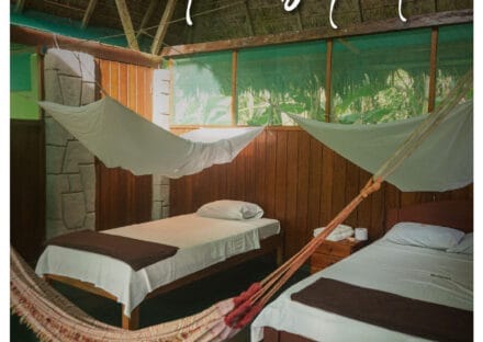 Galería de imágenes en miniatura