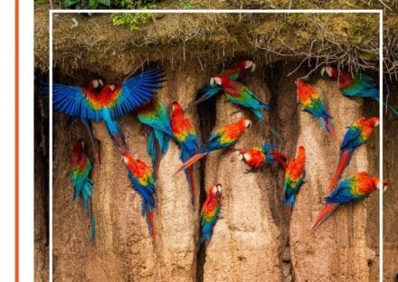 Galería de imágenes en miniatura