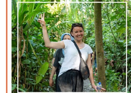 Galería de imágenes en miniatura