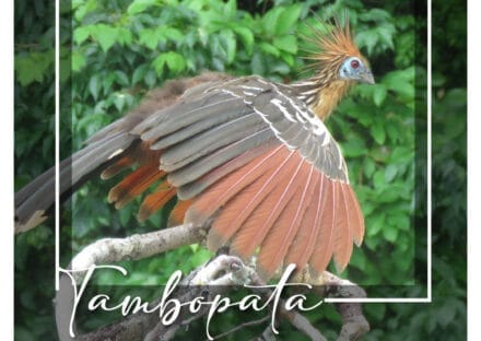 Galería de imágenes en miniatura