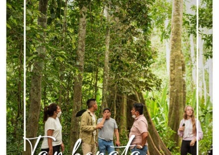 Galería de imágenes en miniatura