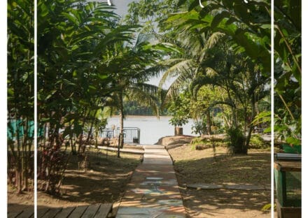 Galería de imágenes en miniatura