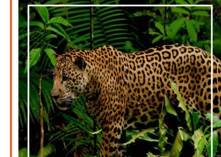 Galería de imágenes en miniatura