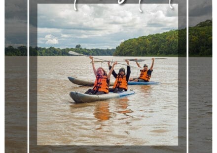 Galería de imágenes en miniatura