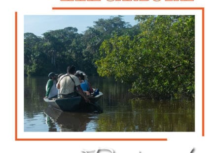 Galería de imágenes en miniatura