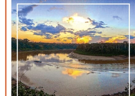 Galería de imágenes en miniatura