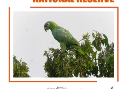 Galería de imágenes en miniatura