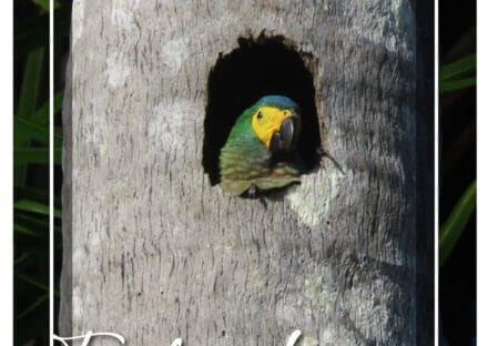 Galería de imágenes en miniatura