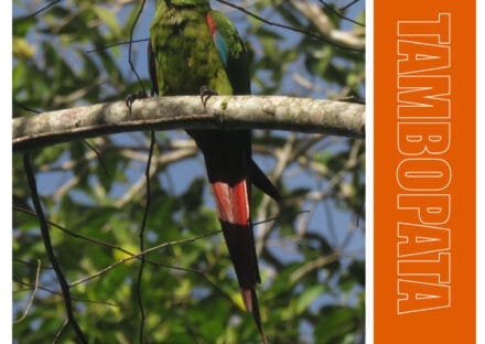 Galería de imágenes en miniatura