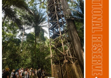 Galería de imágenes en miniatura