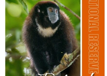 Galería de imágenes en miniatura