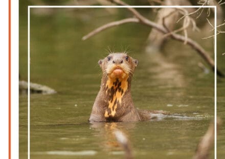 Galería de imágenes en miniatura