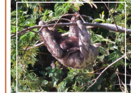 Galería de imágenes en miniatura