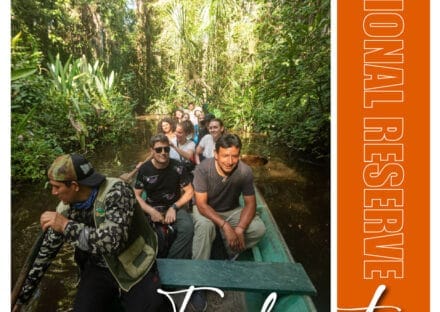 Galería de imágenes en miniatura