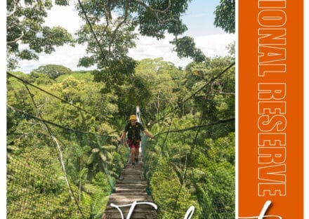 Galería de imágenes en miniatura