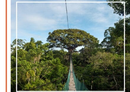 Galería de imágenes en miniatura