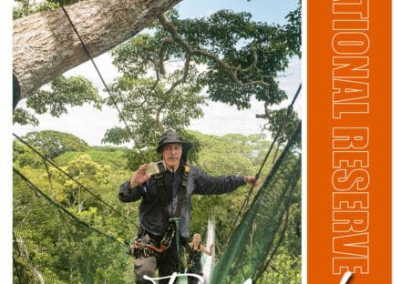 Galería de imágenes en miniatura