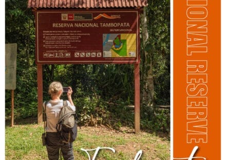 Galería de imágenes en miniatura