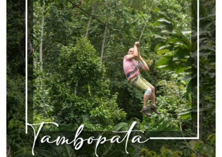 Galería de imágenes en miniatura